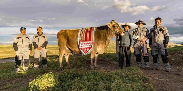 Antapaccay entregará mil bolsas de tela a estudiantes de espinar para cuidar el medio ambiente