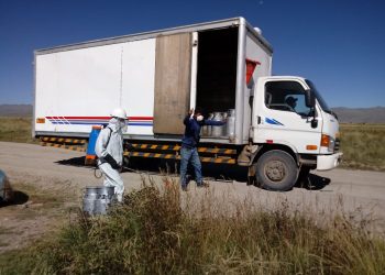 Placme continúa beneficiando a productores lecheros de Espinar, en medio de la difícil coyuntura del Covid-19