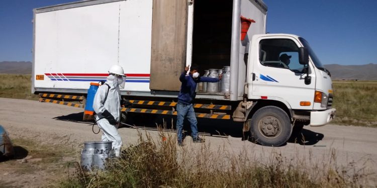 Placme continúa beneficiando a productores lecheros de Espinar, en medio de la difícil coyuntura del Covid-19