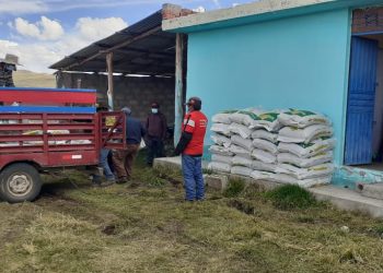 MÁS DE 600 SACOS DE ALIMENTO BALANCEADO PARA GANADO OVINO FUERON ENTREGADOS A LA COMUNIDAD DE HUINI CORCCOHUAYCO
