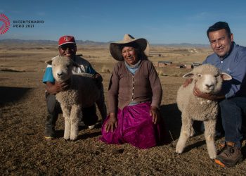 ANTAPACCAY RECIBIÓ EL SELLO BICENTENARIO EN LA CATEGORIA DE INICIATIVA EMPRESARIAL, POR PARTE DEL PROYECTO ESPECIAL BICENTENARIO