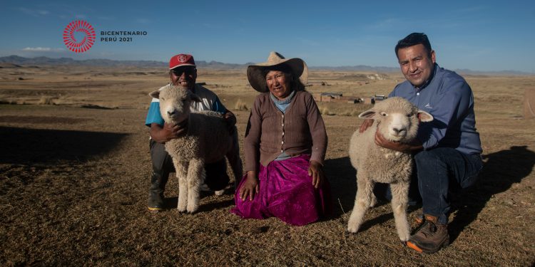 ANTAPACCAY RECIBIÓ EL SELLO BICENTENARIO EN LA CATEGORIA DE INICIATIVA EMPRESARIAL, POR PARTE DEL PROYECTO ESPECIAL BICENTENARIO