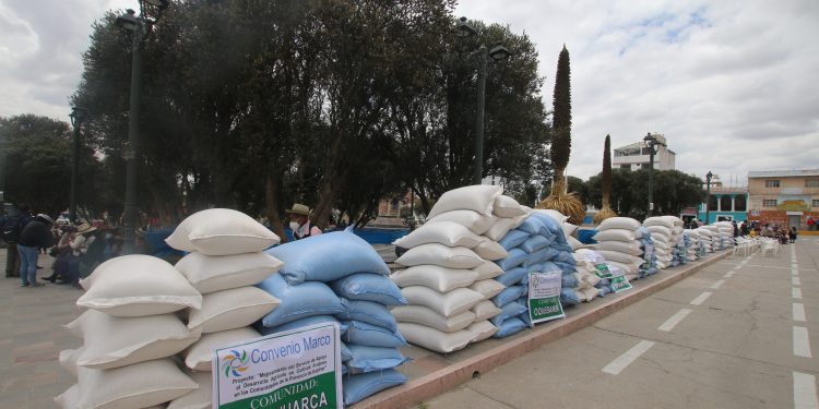 CONVENIO MARCO ENTREGÓ SEMILLAS NATIVAS  A 78 COMUNIDADES CAMPESINAS DE ESPINAR
