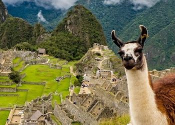 VOTA AQUÍ PARA QUE PERÚ GANE LAS SEIS NOMINACIONES EN LOS WORLD TRAVEL AWARDS GLOBAL 2021